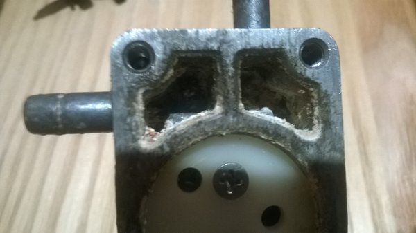 WP_20160526_005.jpg