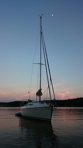 IMG_2337.jpg