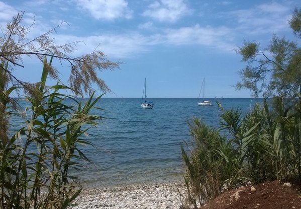 WP_20170704_13_41_12_Pro.jpg