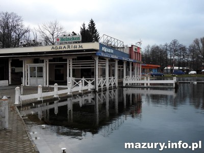 t_gizycko_aquarium_203.jpg