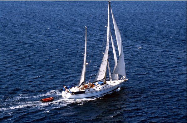 Image4.jpg