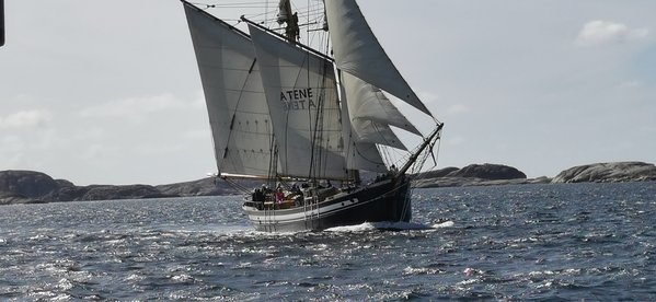 IMG_20220820_112516.jpg