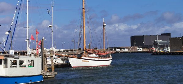 IMG_20220913_150724.jpg
