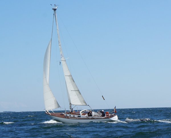 Image1a.jpg